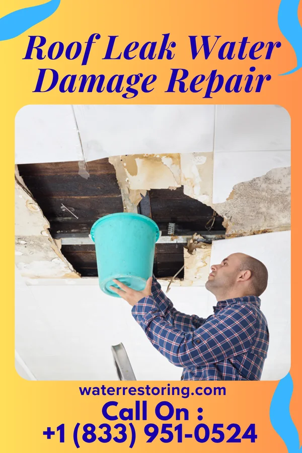 Roof Leak Water Damage Repair in Maywood Park, OR